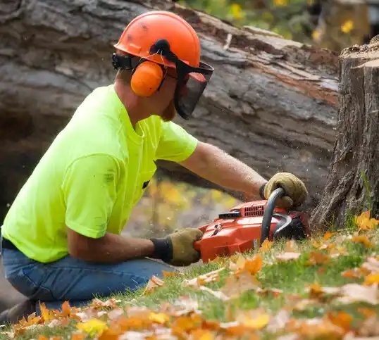 tree services Shrewsbury